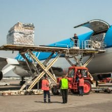 Caribische vrachtvervoer,Zeevrachtbedrijven